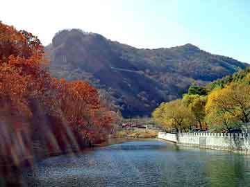 新澳门二四六天天彩，冷卷板